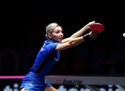 虎扑网-瓯越雄鲨队惊险晋级皖南山猫队，体操季后赛上演关键失误成转折！保级形势悄然变化(2024男篮季后赛广东华南虎vs浙江东阳光药)